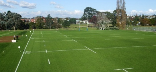 Mt Albert Grammar School